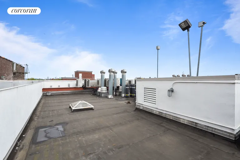 New York City Real Estate | View 1311 Pacific Street, 601 | Roof Deck | View 8