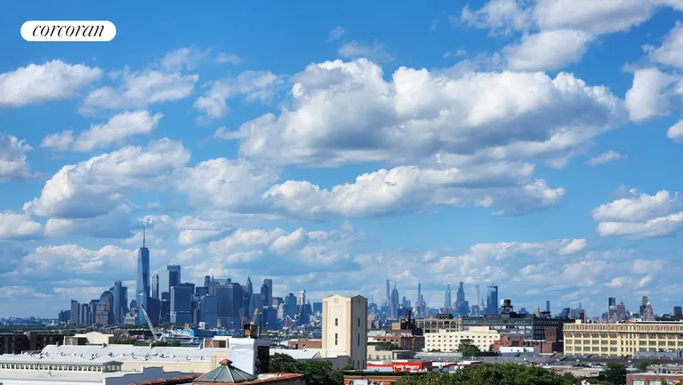 New York City Real Estate | View 254 55th Street, 3B | City views from the roof | View 2