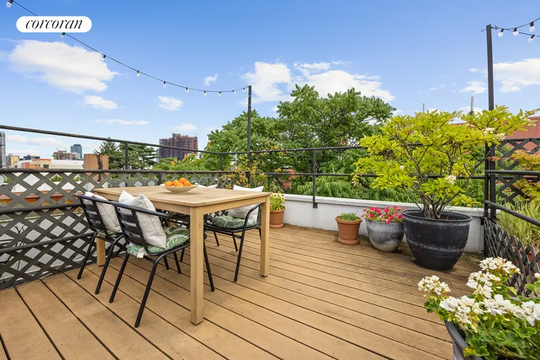 New York City Real Estate | View 445 3rd Avenue, 401 | Roof Deck | View 3