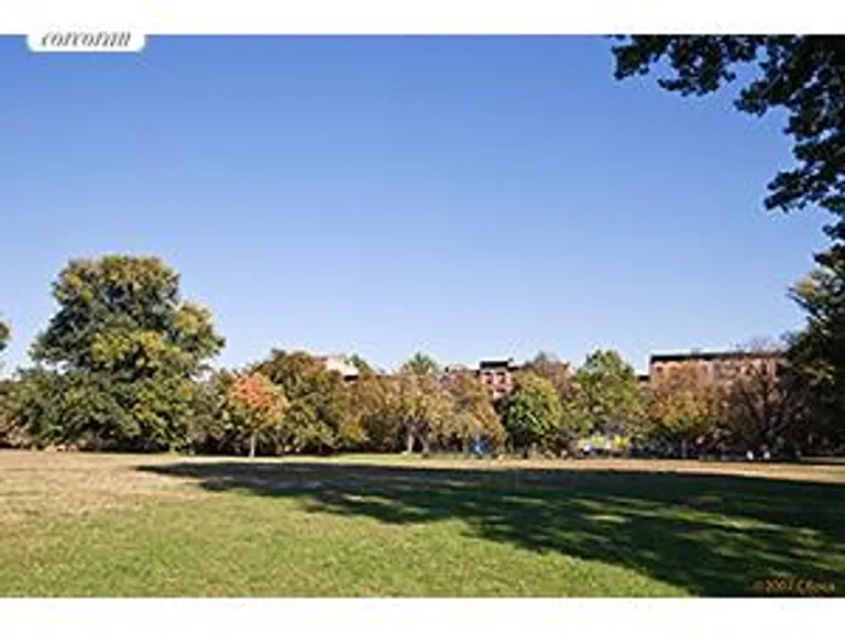 New York City Real Estate | View 190 Washington Park, 1 | Fortt Greene Park | View 5