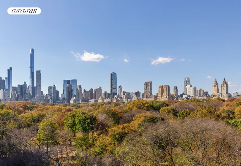 New York City Real Estate | View 973 Fifth Avenue | room 67 | View 68
