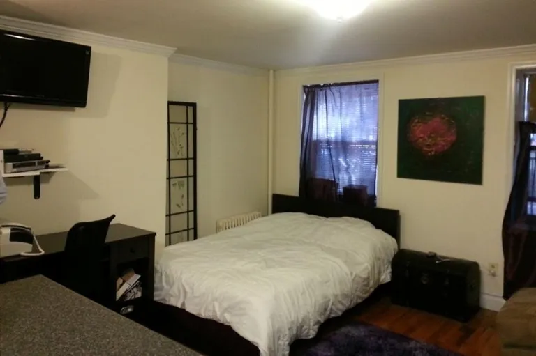 New York City Real Estate | View 112 Fort Greene Place, 1 | room 4 | View 5