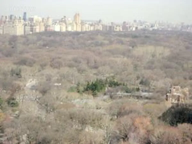 New York City Real Estate | View 721 Fifth Avenue, 30F | Central Park | View 2