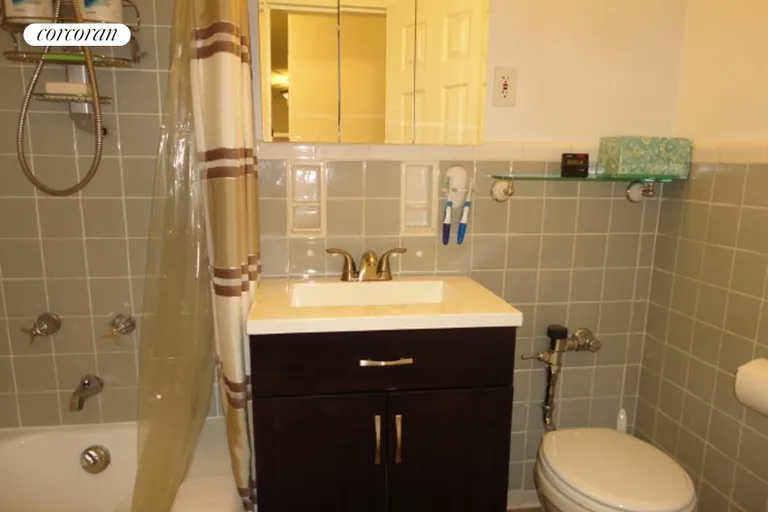 New York City Real Estate | View 191 Willoughby Street, 3G | Bathroom | View 10