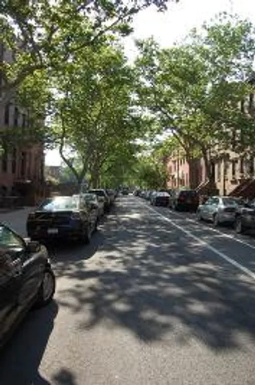 New York City Real Estate | View 248 Union Street, 3 | Tree lined street | View 3