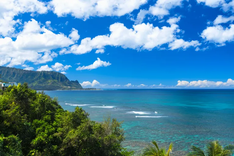 Hawaii Real Estate | View 5280 KA HAKU RD, #8 | room 22 | View 23