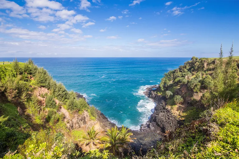 Hawaii Real Estate | View 5280 KA HAKU RD, #8 | room 21 | View 22