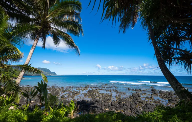Hawaii Real Estate | View 5280 KA HAKU RD, #8 | room 25 | View 26