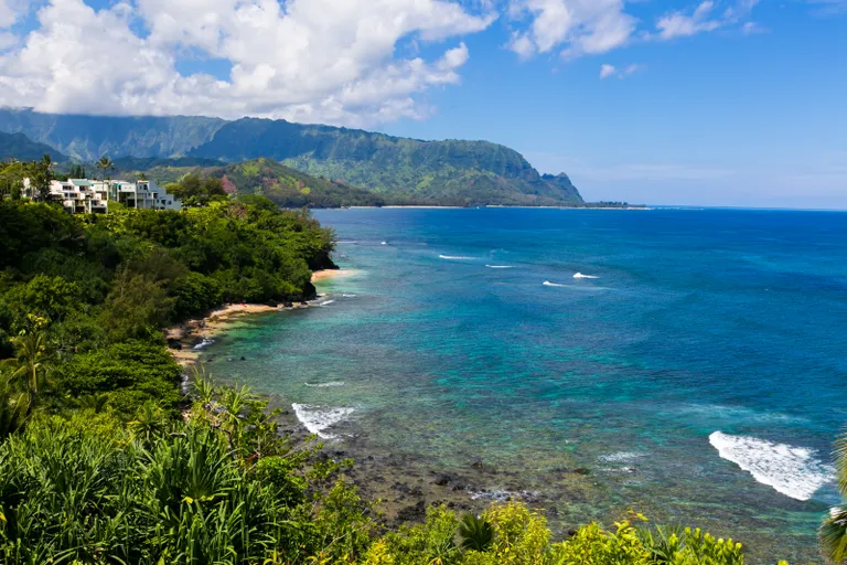 Hawaii Real Estate | View 5280 KA HAKU RD, #8 | room 23 | View 24