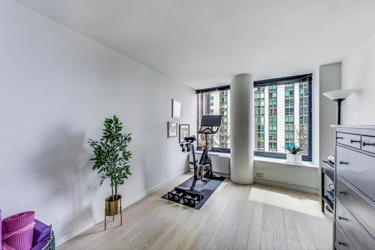 New York City Real Estate | View 155 N Harbor, 507 | room 12 | View 13
