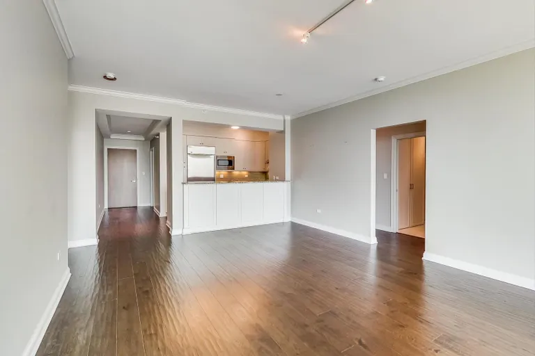 New York City Real Estate | View 1201 S Prairie, 2402 | room 4 | View 5