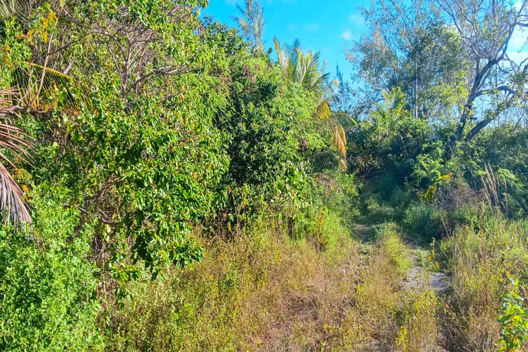 New York City Real Estate | View Lot #5 Hope Hill, Exuma | Hope Hill 6-04 copy | View 2