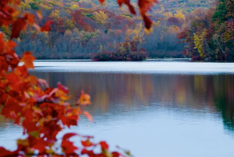New York City Real Estate | View 4 Sterlington Road | Fall Foliage on Lake | View 5