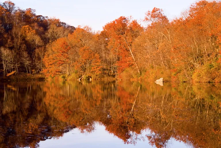 New York City Real Estate | View 4 Sterlington Road | Fall Foliage on Lake | View 22