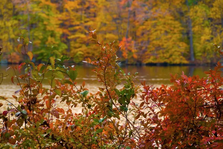 New York City Real Estate | View 4 Sterlington Road | Fall Foliage on Lake | View 29