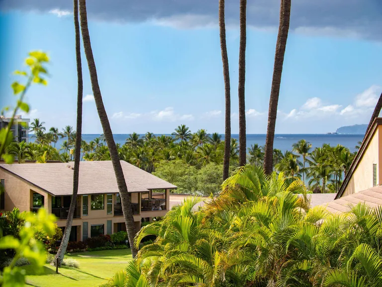 New York City Real Estate | View 3300 Wailea Alanui Drive 33D | 18_2_gallery | View 32