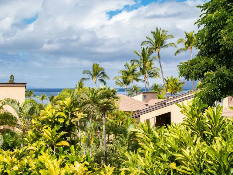 New York City Real Estate | View 3300 Wailea Alanui Drive 33D | 16_2_gallery | View 33