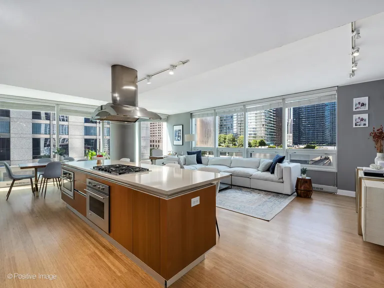 New York City Real Estate | View 340 E Randolph, 506 | room 6 | View 7