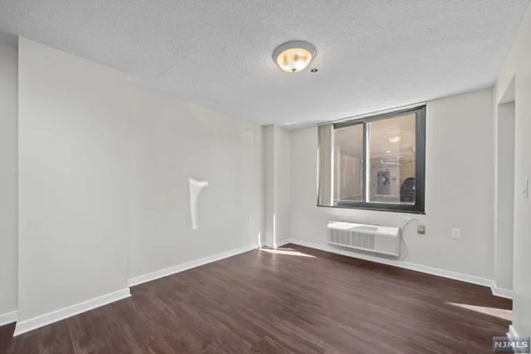 New York City Real Estate | View 316 Prospect Avenue Unit# 1E | room 5 | View 6