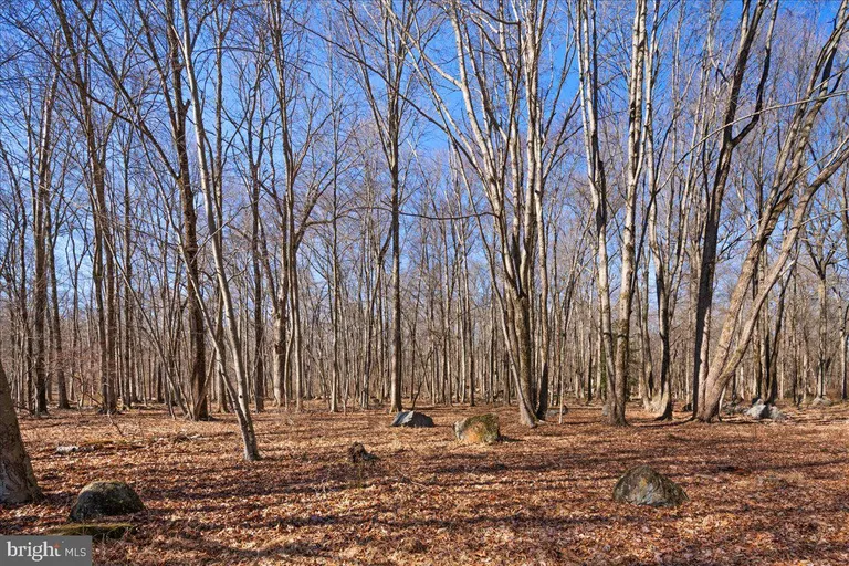 Central NJ/Bucks County, PA Real Estate | View 330 Rock Road E | room 51 | View 52