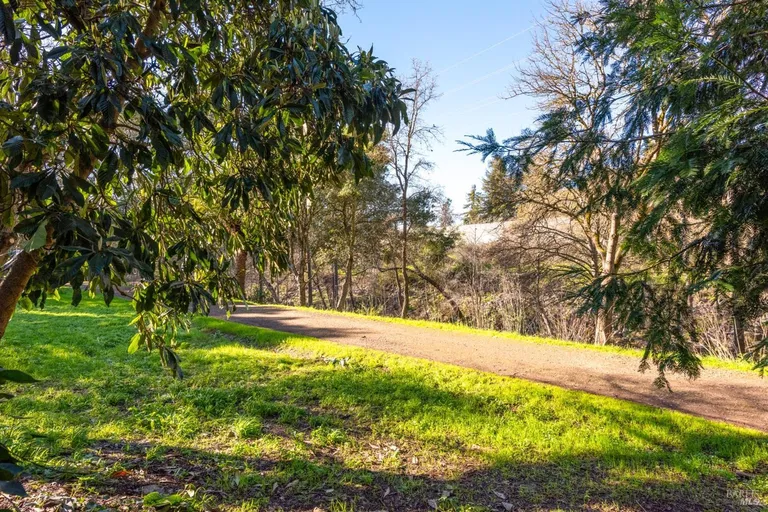 Northern California Real Estate | View 177 Willow Street | room 44 | View 45