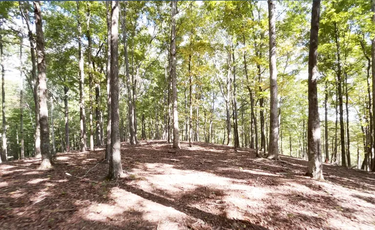 Nashville, TN Real Estate | View 5204 Drury Ln | room 64 | View 65
