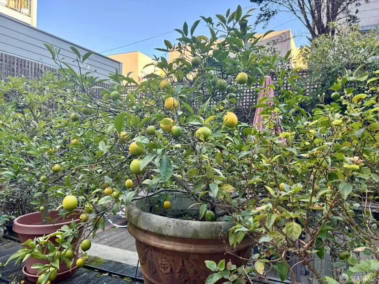 Northern California Real Estate | View 199 Tiffany Avenue #211 | room 31 | View 32