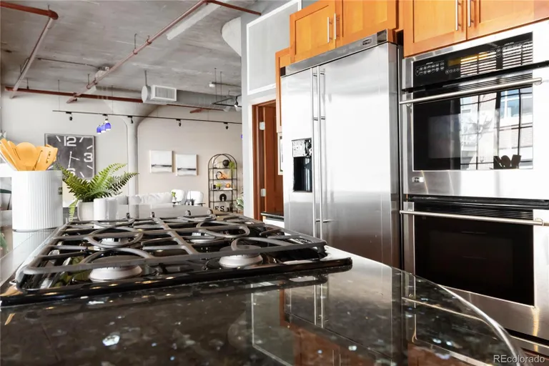 Denver Real Estate | View 1863 Wazee Street Unit# 6E | room 21 | View 22