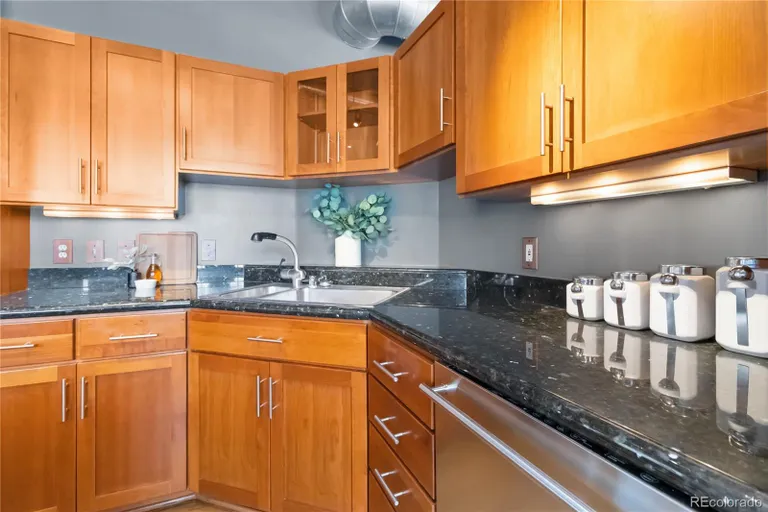 Denver Real Estate | View 1863 Wazee Street Unit# 6E | room 20 | View 21