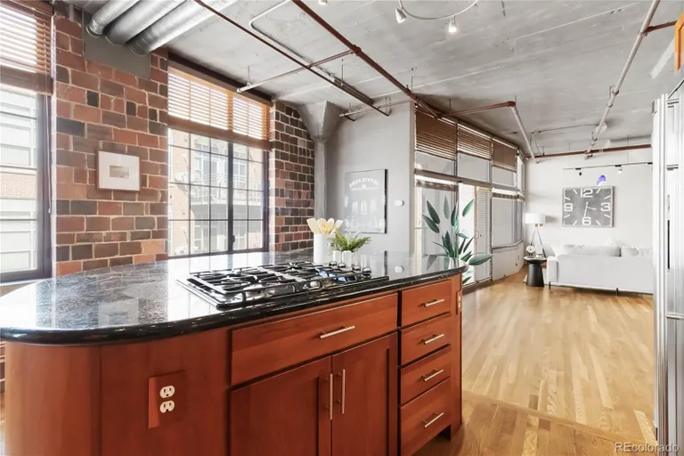 Denver Real Estate | View 1863 Wazee Street Unit# 6E | room 19 | View 20