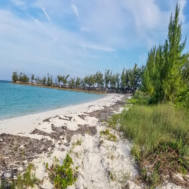 New York City Real Estate | View Kemps Bay, South Andros | View 1