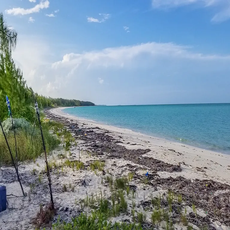 New York City Real Estate | View Kemps Bay, South Andros | Andros-2 | View 2