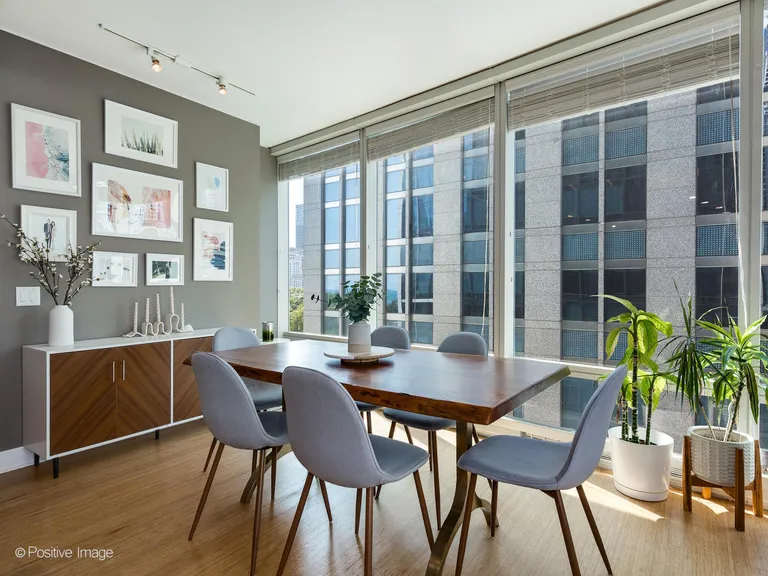 Chicago Real Estate | View 340 E Randolph, 506 | room 5 | View 6