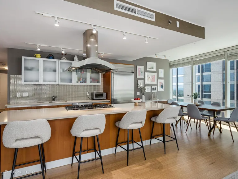Chicago Real Estate | View 340 E Randolph, 506 | room 4 | View 5