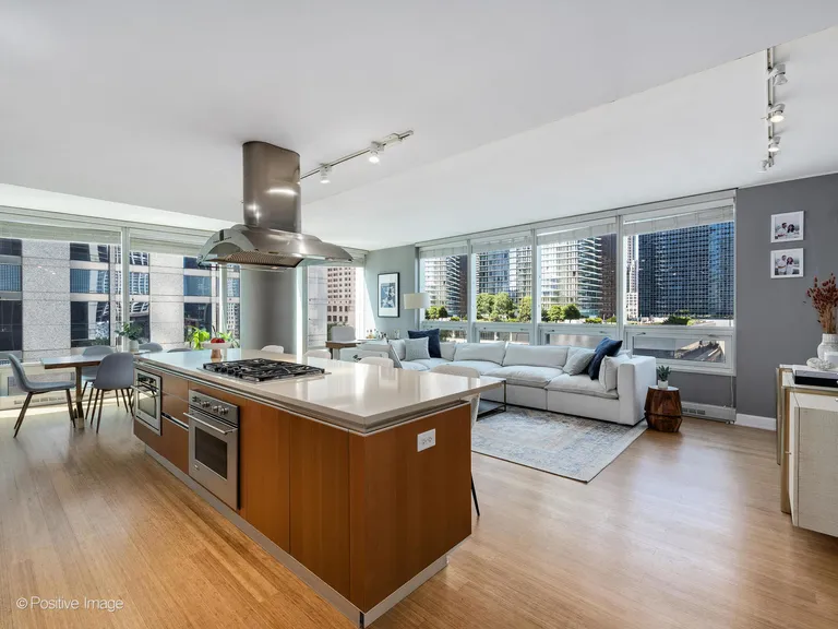 Chicago Real Estate | View 340 E Randolph, 506 | room 6 | View 7