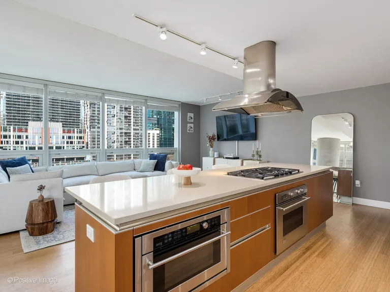 Chicago Real Estate | View 340 E Randolph, 506 | room 7 | View 8