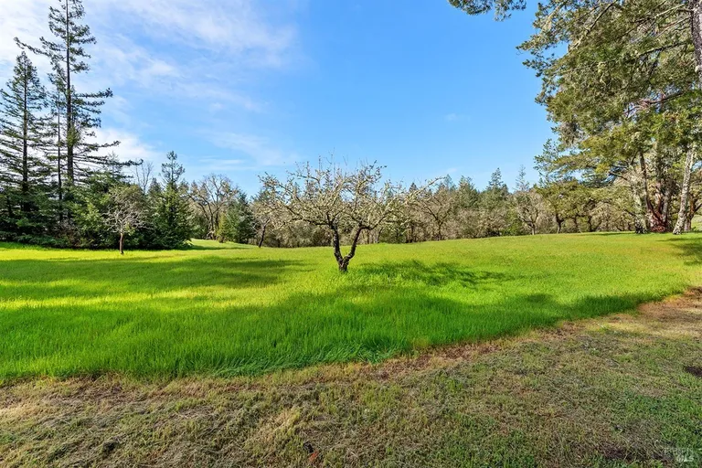 Northern California Real Estate | View 3651 Bones Road | room 39 | View 40