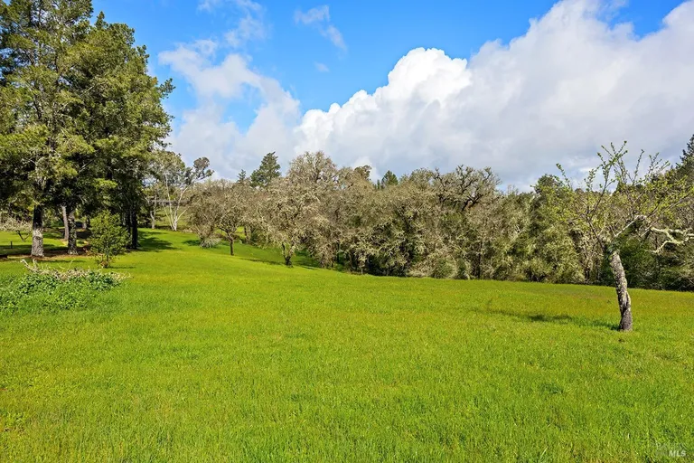 Northern California Real Estate | View 3651 Bones Road | room 36 | View 37