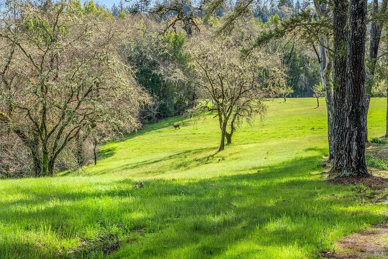 Northern California Real Estate | View 3651 Bones Road | room 34 | View 35