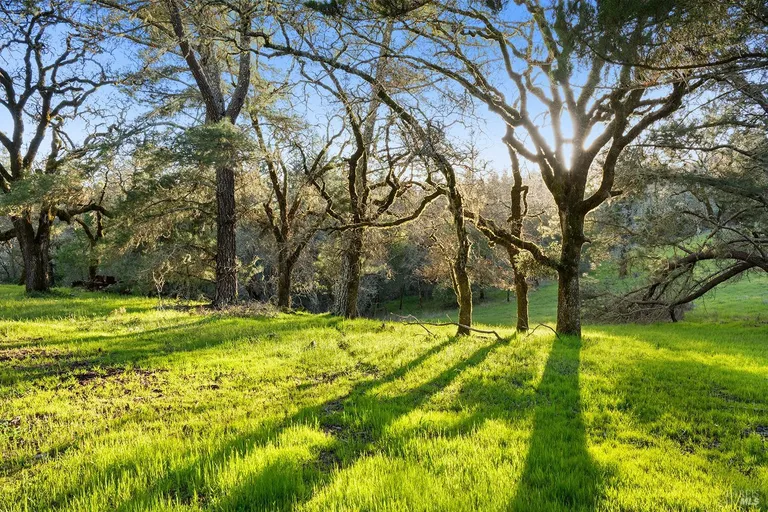 Northern California Real Estate | View 3651 Bones Road | room 40 | View 41