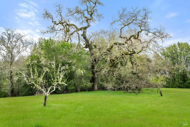 Northern California Real Estate | View 3651 Bones Road | room 33 | View 34