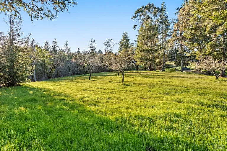 Northern California Real Estate | View 3651 Bones Road | room 38 | View 39