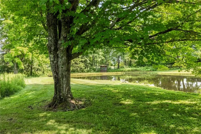 Hudson Valley Real Estate | View 1168 Bangall Amenia Road | room 15 | View 16