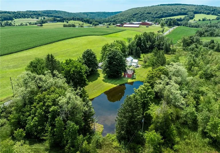 Hudson Valley Real Estate | View 1168 Bangall Amenia Road | room 11 | View 12