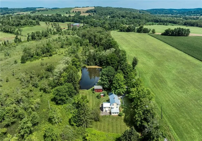 Hudson Valley Real Estate | View 1168 Bangall Amenia Road | room 5 | View 6