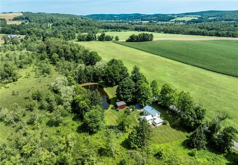 Hudson Valley Real Estate | View 1168 Bangall Amenia Road | room 4 | View 5