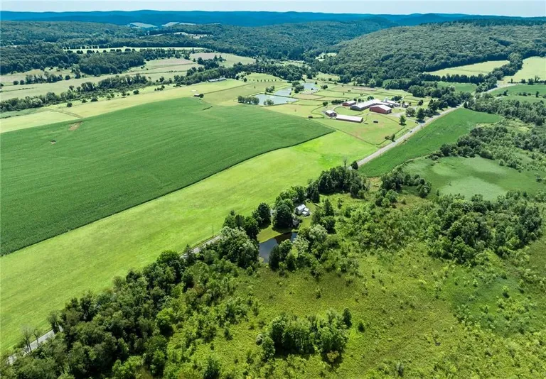 Hudson Valley Real Estate | View 1168 Bangall Amenia Road | room 10 | View 11