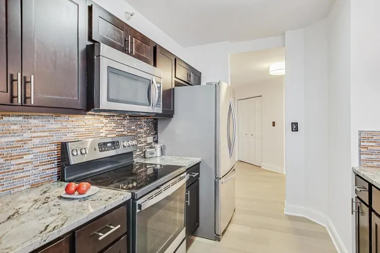 Chicago Real Estate | View 222 N Columbus, 1304 | room 8 | View 9