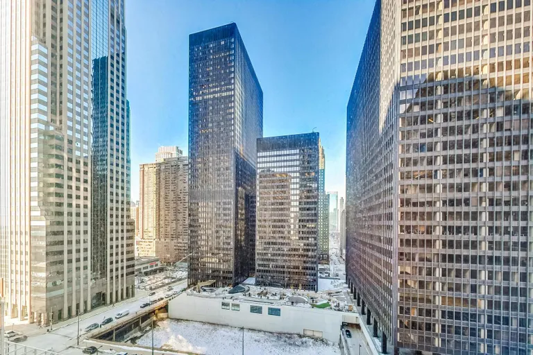 Chicago Real Estate | View 222 N Columbus, 1304 | room 17 | View 18