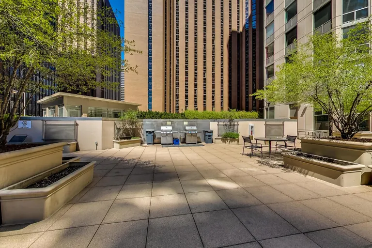 Chicago Real Estate | View 222 N Columbus, 1304 | room 40 | View 41